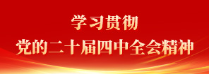学习贯彻学习贯彻党的二十届四中全会精神党的二十届四中全会精神